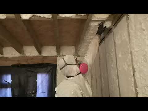 Dampbusters ltd video.