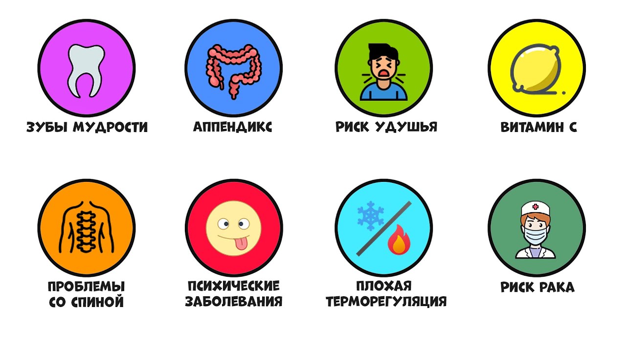 Все эволюционные недостатки человеческого тела за 7 минут