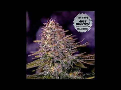 06 Dirty Dockerz   Check Tha Method