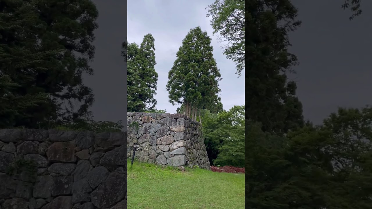 YouTube Short thumbnail