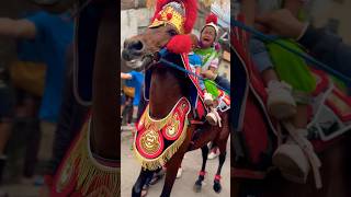 Download lagu Bocil nangis viral Naik kuda renggong mp3 Download lagu Bocil nangis viral Naik kuda renggong mp3