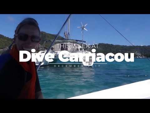 Scuba Diving Carriacou: Sisters Rocks