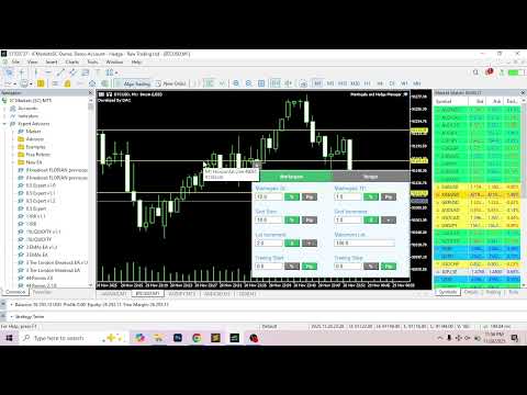 Video Martingale and Hedge Manager MT4