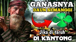 Download lagu REZEKI LANCAR !!! Keajaiban meletakan daun semanggi didalam kantong dalam dunia spiritual mp3