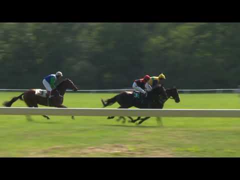 Dostihy Netolice 14. 8. 2022 - 6. dostih - Cena Šindelář Spedition s.r.o. za podpory Josefa Váni