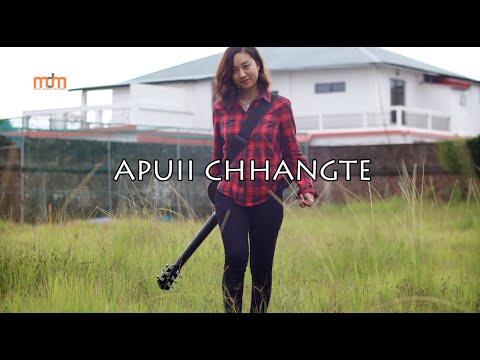 APUII CHHANGTE - HMEICHHIA (OFFICIAL)
