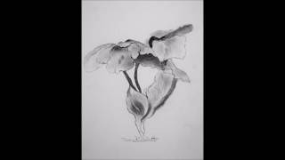 Diana Robleś Inspiration - Pencil Flower