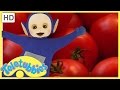Teletubbies English Episodes Making Salad Full Episode HD S06E154
