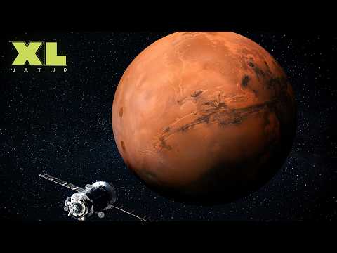 Außerirdisches Leben: Die Suche nach Antworten – Von Mars bis Exoplaneten | XL Naturdoku