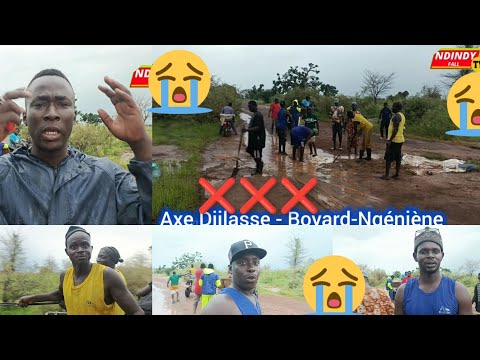 Danger Alert🆘📛: destruction of the road on the Djilasse - Boyard - Ngéniène axis: Total fatigue