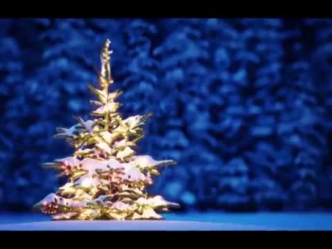 Zbigniew Preisner, Beata Rybotycka - Kolęda Dla Nieobecnych