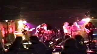 Barricade O'Connells 1995 Shy Boy