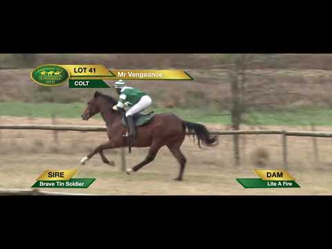 LOT 41 Mr Vengeance (Brave Tin Soldier - Lite A Fire)