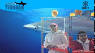 DIA 3 Expo Tiburon96