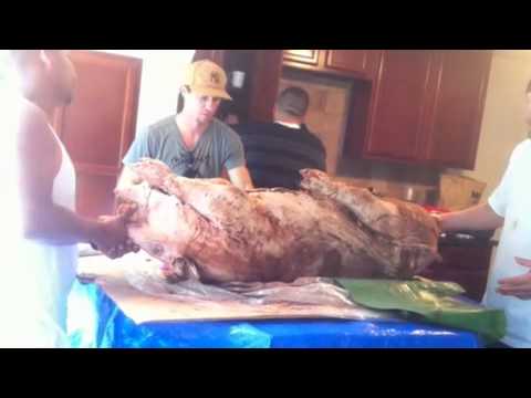 Roasting pig Tutorial