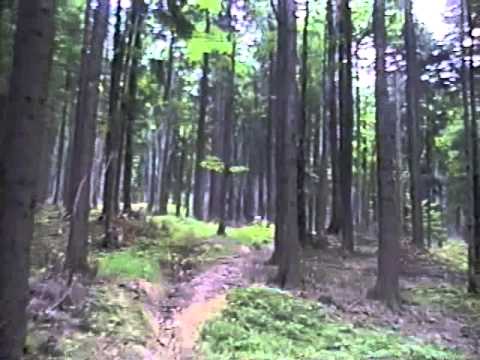 Pietrele Muierii 1995 #2