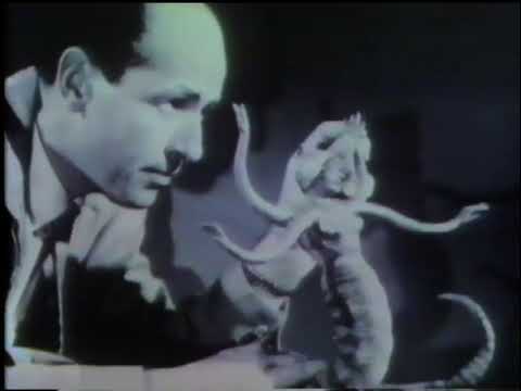 Ray Harryhausen: Clash of the Monsters - 1982