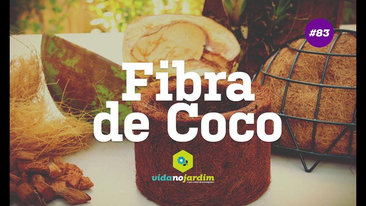 Uso e benefícios da fibra de coco