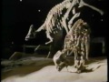 Infinite Voyage Dinosaur Epilogue Credits