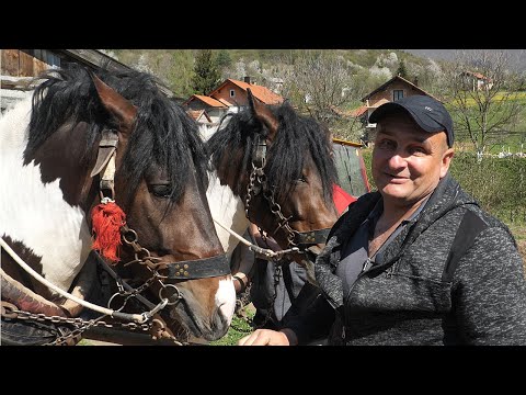 Ljubav prema konjima nema granica