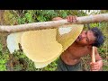 Five Stars Bushman Harvesting Honey Beehive in Jungle - Primitive Jungle Lifeskills Five Stars Bushman Harvesting Honey Beehive in Jungle