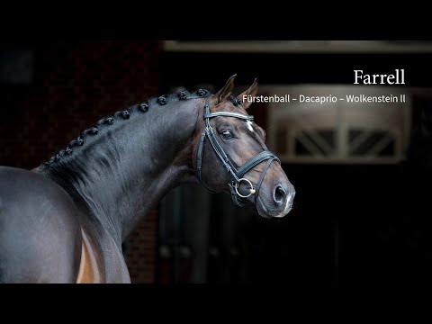 Blue Hors Farrell 2016