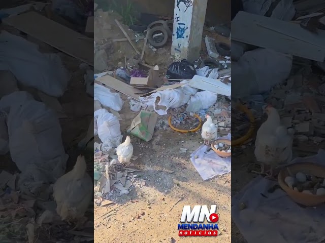Vídeo de 16 de fevereiro
'