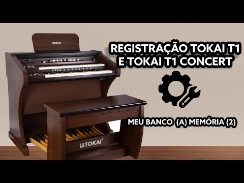 2ª REGISTRAÇÃO TOKAI T1 & TOKAI T1 CONCERT - FELIPE RODRIGO [BAM2]