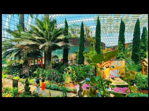 flower's  bloom @flower dome