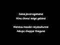 #AlaVaikunthapurramuloo - Samajavaragamana Female Song Lyrics | AlluArjun |SS Thaman | ShreyaGhoshal