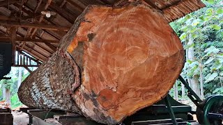 a giant mahogany log from a cemetery that is disturbing when it is sawed at the sawmill