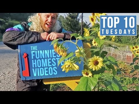 Top 10 Funniest Homestead Videos | Top 10 Tuesdays Video