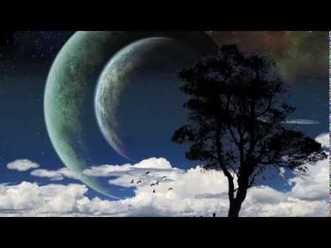 Herr Vogel - Wanna Play (feat. Fabio)