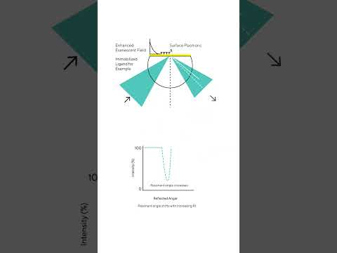 Surface Plasmon Resonance (SPR) Technology, Explained