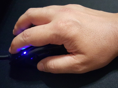 dalton3 Terran Stream