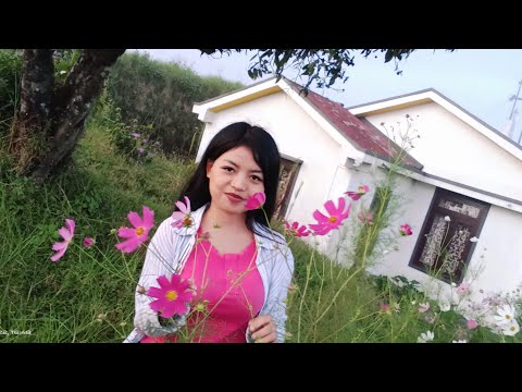 C Lalrinfeli (Apuii)     =Suihlunglenin rinin han thlir ila.   =Phuahtu~ Rev.Thangngûra