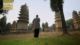 Diarios de viaje: Kung Fu Wise - Estilo Shaolin