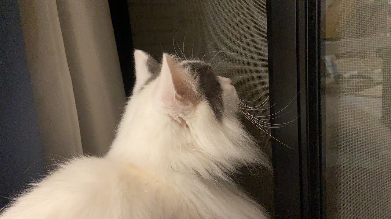 寒くなってきましたな〜〜　