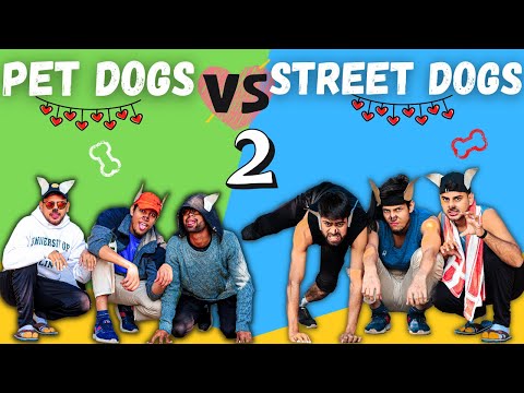 Gulshan Kumar pet dog vs...