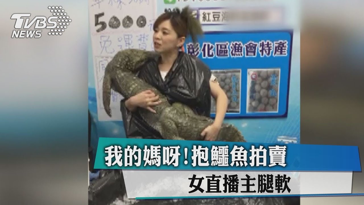 我的媽呀!抱鱷魚拍賣 女直播主腿軟