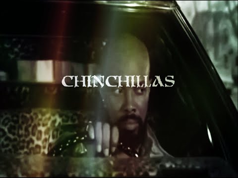 Video thumbnail for Chinchillas