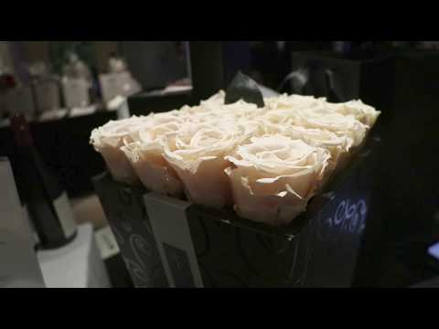 download lagu mp3 mp4 Lori Ann Flavors, download lagu Lori Ann Flavors gratis, unduh video klip Lori Ann Flavors