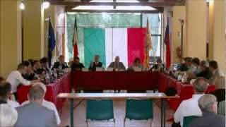 preview picture of video 'Consiglio Comunale di Vigonza - 08 giugno 2012'