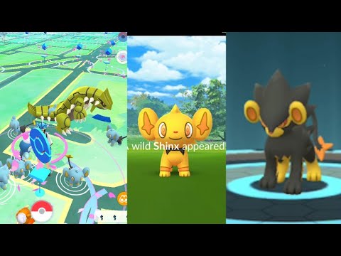 The most waited shiny Shinx  CD learns Psychic when evolve into Luxray