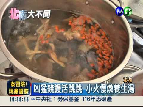 秋涼大補帖! 藥燉錢鰻養生補氣