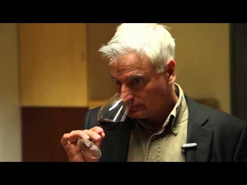 Gérard Boulay - tradition rouge 2011 - sancerre