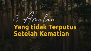Download lagu 3 AMALAN YANG TIDAK TERPUTUS SETELAH KEMATIAN | Ustadz Adi Hidayat mp3 Download lagu 3 AMALAN YANG TIDAK TERPUTUS SETELAH KEMATIAN | Ustadz Adi Hidayat mp3