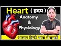 Heart हृदय Anatomy And Physiology In Hindi Layers GNM Bsc Nursing Varsha Nursing Academy