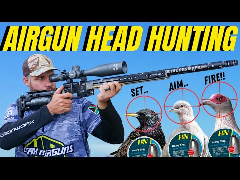 AIRGUN HEAD HUNTING WITH FX PANTHERA I PEST BIRD DESTRUCTION WITH AIRGUN I AIR RIFLE PIGEON HUNTING