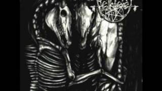 Tote Weisse Marder-Bethlehem